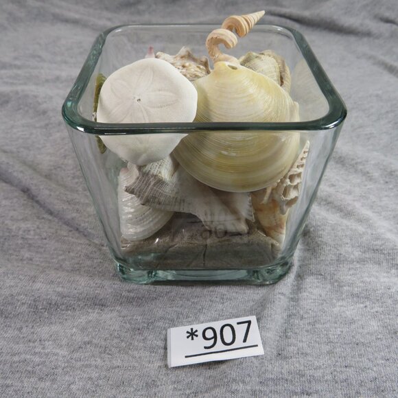 REAL Sea Shells in a Glass Square Vase and sand #12 - Picture 2 of 11